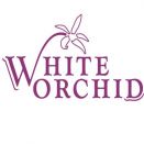 White Orchid